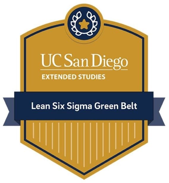 Sigma Global Nursing Excellence